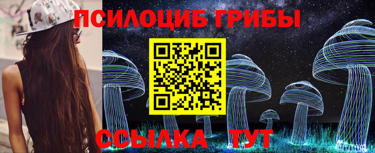 Галлюциногенные грибы Magic Shrooms Свободный