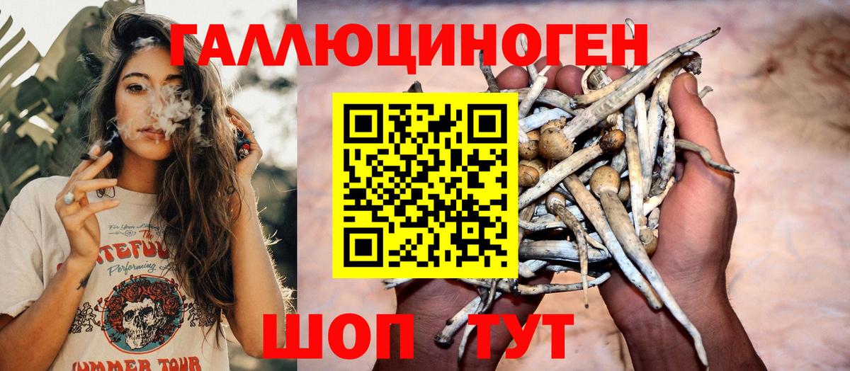 Свободный  Галлюциногенные грибы GOLDEN TEACHER  Вход с VPN 